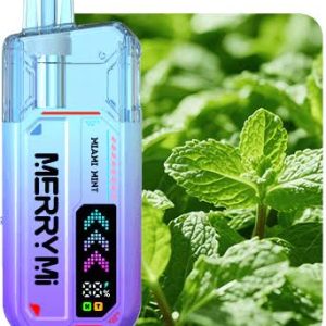 Merrymi Mecha X 36000 Puffs Miami Mint Vape